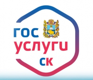 Жители Ставропольского края смогут получить электронные пропуска на портале «Госуслуги»