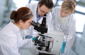 Немецкие ученые вознамерились бороться с онкологией посредством сперматозоидов