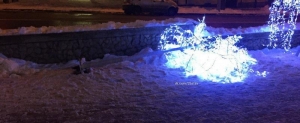 В Ставрополе искусственное светящееся дерево рухнуло на тротуар