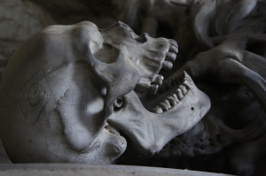 На улице ставропольского села обнаружились человеческие кости