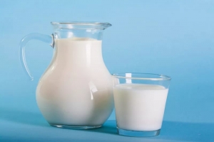 Белоруссия поделилась со Ставропольем молочными стандартами