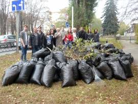 В Ставрополе «ленинцы» навели порядок на улицах