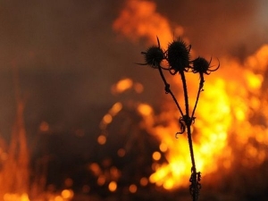 В Ставропольском крае ожидается чрезвычайная пожароопасность