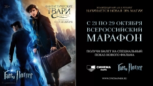 Легендарная киносага вернется на огромный экран в Ставрополе