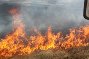 Пожар на Ставрополье едва не уничтожил поле и сельхозтехнику