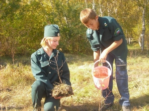 Ставропольские  школьники  помогли лесничествам