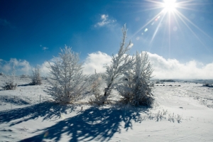 На Ставрополье установится морозная и ясная погода