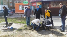 В Ставрополе на месте снесенных ларьков разобьют клумбы