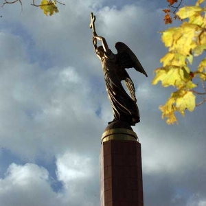 «Ангела» в Ставрополе «озолотят»
