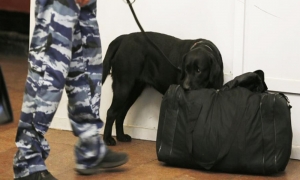 Жители Ставрополя обнаружили две подозрительные сумки