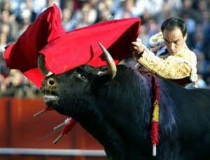 В Испании во время забега быков погиб мужчина, делающий селфи