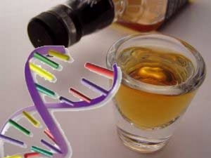 Ученые открыли ген, провоцирующий запои
