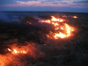 Начало июля грозит Ставрополью ландшафтными пожарами
