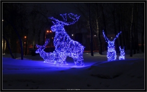 В Ставрополе поселились светящиеся олени