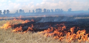 На Ставрополье пожары упредят беспилотники