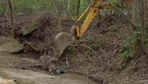 Жители Пятигорска очистили от мусора берега рек Подкумок и Юца