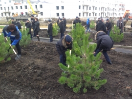 Кадеты из Севастополя и Ставрополя заложили Адмиральский парк из двух тысяч деревьев и кустов