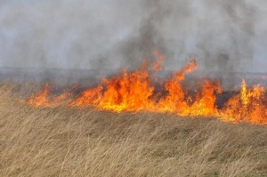 МЧС Ставрополья предупреждает о чрезвычайной пожароопасности