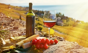 Ставрополье станет центром винного туризма
