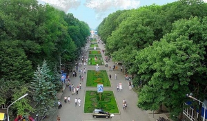 В Ставрополе масштабно отметили День предпринимателя