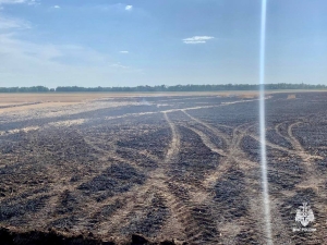Глава Ставрополья: В крае зафиксированы случаи намеренного поджога полей с пшеницей