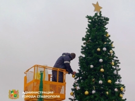 В центре Ставрополя начался демонтаж новогоднего елочного леса