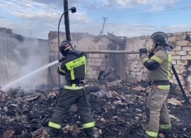 В Шпаковском округе при пожаре кошары погибли несколько телят