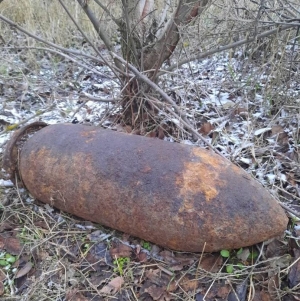 В Апанасенковском округе найден неразорвавшийся снаряд времен Великой Отечественной войны