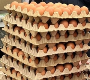 Минэкономразвития Ставрополья: В регионе куриные яйца подешевели на 18%
