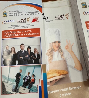 На Ставрополье действует свыше 60 мер государственной поддержки бизнеса